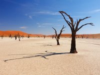 Namib woestijn